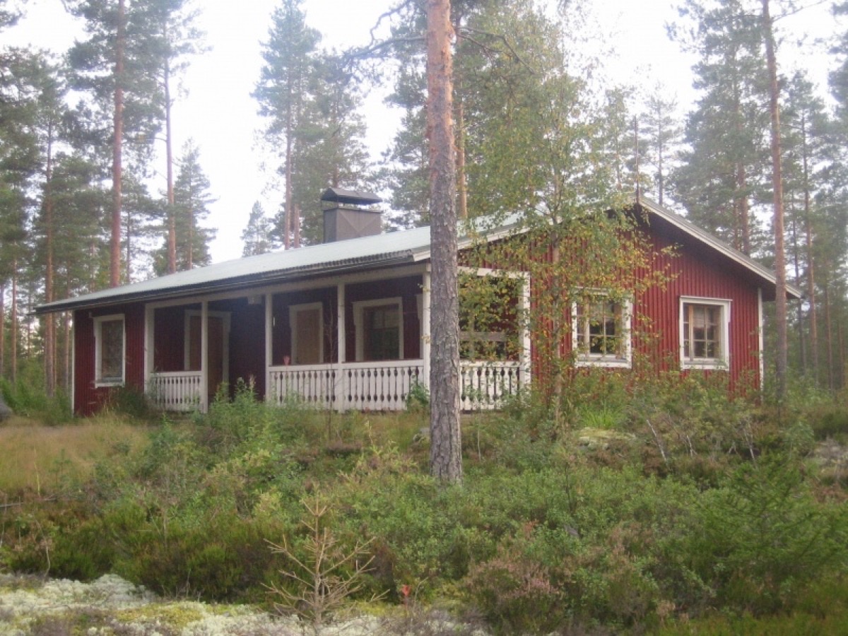 Metsolan majan ulkokuva kesällä